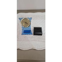 troph&eacute;e de tir avec illumination