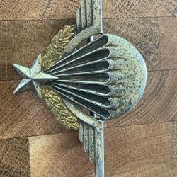 Insigne parachutiste