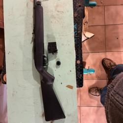 Crosman C1077 plomb-CO2 puissance 8 joules