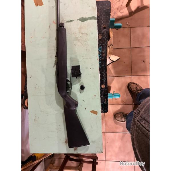 Crosman C1077 plomb-CO2 puissance 8 joules