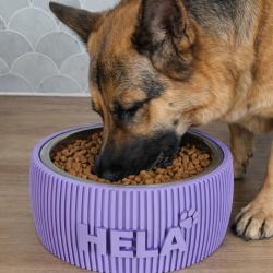 Gamelle personnalis&eacute;e pour chien