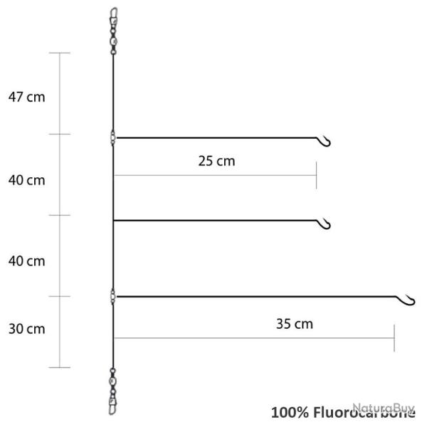 Montage mer Asari comp�tition triple leader