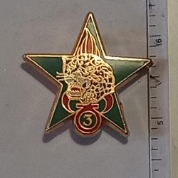 Brevet (&eacute;toile) d'&eacute;claireur jungle du 3&egrave;me r&eacute;giment &eacute;tranger d'infanterie (3&egrave;me REI)