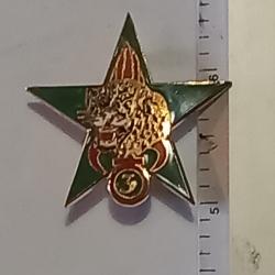Brevet (&eacute;toile) d'&eacute;claireur jungle du 3&egrave;me r&eacute;giment &eacute;tranger d'infanterie (3&egrave;me REI) - JMM