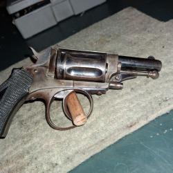 Tres beau velodog 6 mm