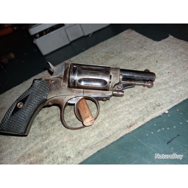 Tres beau velodog 6 mm