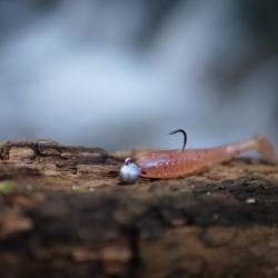 Bumble Head Truite (2g) - 1 Optimus Shad 50 CREVETTE mont&eacute; sur 1 T&ecirc;te