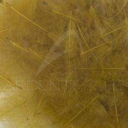 Cul de canard 54 DeanStreet super select Brown Olive