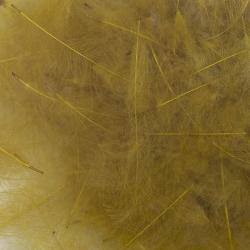 Cul de canard 54 DeanStreet super select Brown Olive