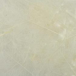 Cul de canard 54 DeanStreet super select Natural White