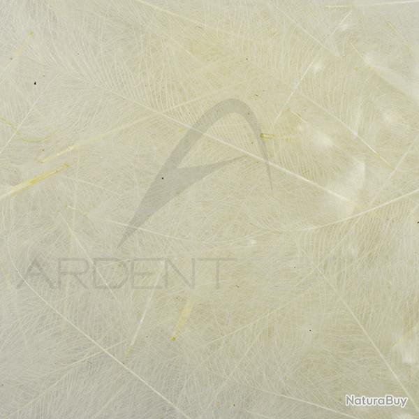 Cul de canard 54 DeanStreet super select Natural White