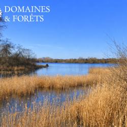 Propri&eacute;t&eacute; de Chasse et de P&ecirc;che dans l'Indre-et-Loire d'environ 40 hectares DF-643-A