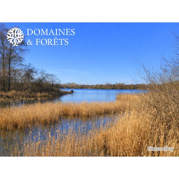 Propri�t� de Chasse et de P�che dans l'Indre-et-Loire d'environ 40 hectares DF-643-A