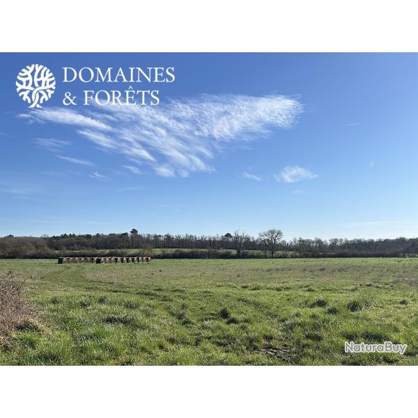 Propri�t� Agricole dans l'Indre d'environ 80 hectares DF-644-A