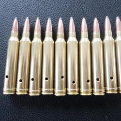 .Cartouches / Munitions neutralis&eacute;es 300 Winchester Magnum