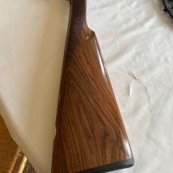 Crosse et devant Beretta silver pigeon cal 20