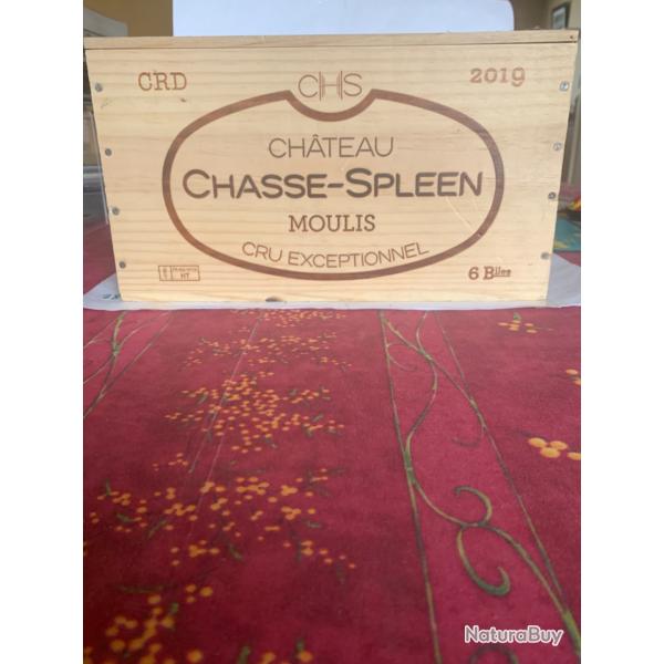 Caisse 6 bouteilles ��Chasse-Spleen�� Moulis 2019