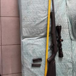 Carabine Rossi 22 lr avec lunette