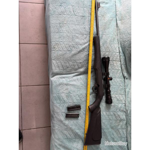 Carabine Rossi 22 lr avec lunette