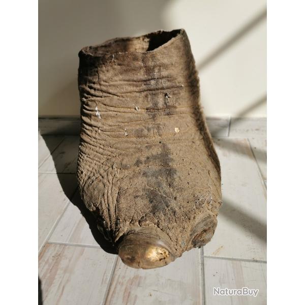 Pieds d'�l�phantAncien