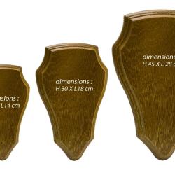 Ecusson pour troph&eacute;e chevreuil ou cerf - Ecusson Cerf