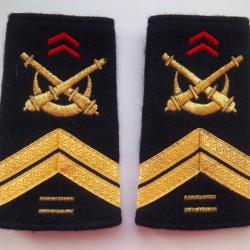 lot fourreaux artillerie troupes d'Afrique 10 ans anciennet&eacute;