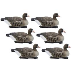 Ensemble de 6 moules Oie Rieuse  - FINAL APPROACH