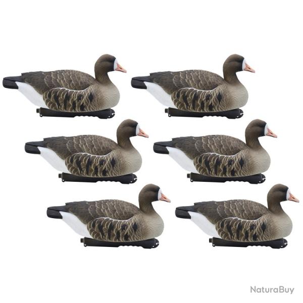 Ensemble de 6 moules Oie Rieuse  - FINAL APPROACH
