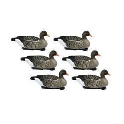 Ensemble de 6 moules Oie cendr&eacute;e  - FINAL APPROACH