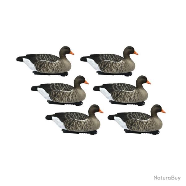 Ensemble de 6 moules Oie cendr�e  - FINAL APPROACH