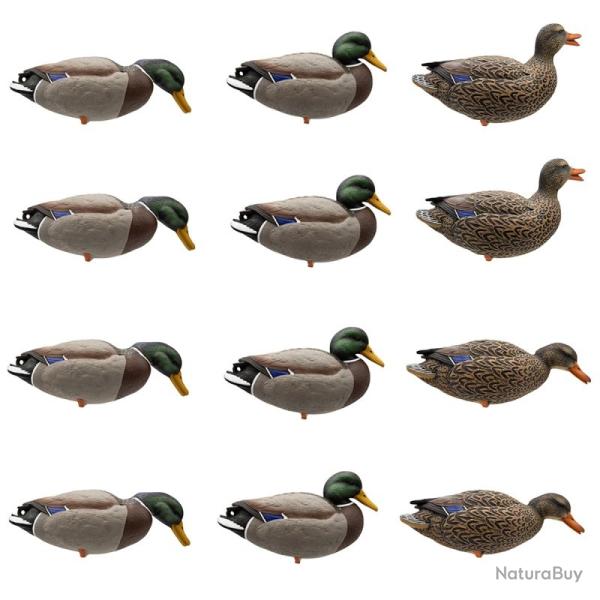 Ensemble de 12 moules Canard Colvert m�le et femme de champ  - FINAL APPROACH