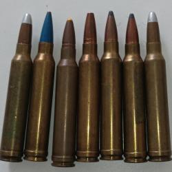 Lot de 7 cartouches calibre 300 WIN