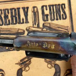 MAGNIFIQUE velodog &laquo; AUTODOG&nbsp;&raquo;avec tr&egrave;s rare brevet !! &Eacute;tat 99% neuf ! Apte PV