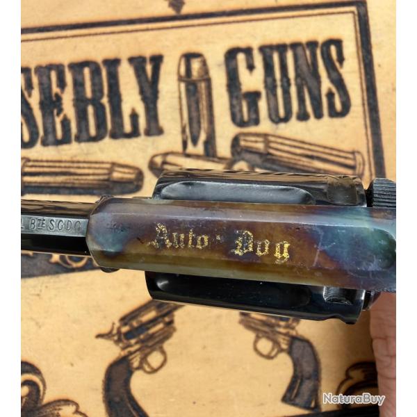 MAGNIFIQUE velodog � AUTODOG��avec tr�s rare brevet !! �tat 99% neuf ! Apte PV