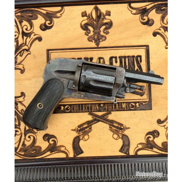 Rare velodog capacit� de 8 COUPS !