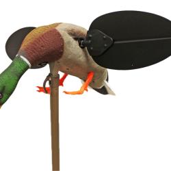 Appelant Mojo Mallard