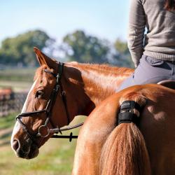 SYST&Egrave;ME DE SUIVI DE SANT&Eacute; ET PERFORMANCE EQUIN GARMIN BLAZE