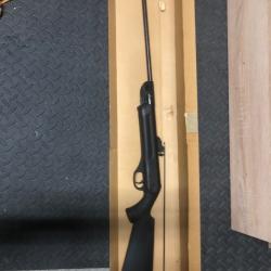 Carabine air comprim&eacute;