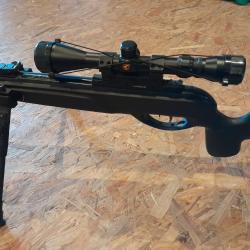 Carabine 4,5 gamo avec lunettes 3-9&times;40 tr&egrave;s bon &eacute;tat 19,9 joules