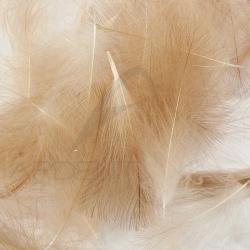 Cul de canard vrac AB FLY 1gr Beige naturel