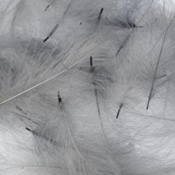 Cul de canard vrac AB FLY 1gr Gris teint&eacute;