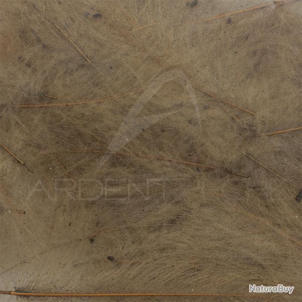 Cul de canard vrac AB FLY 1gr Kaki teint�