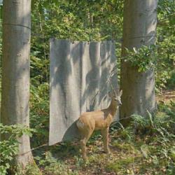 TAPIS PARE FLECHE Hauteur 2m - Longueur 6m