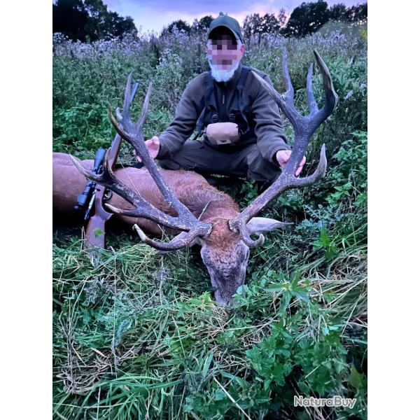 Chasse au cerf en Pologne - troph�e de plus de 6kg