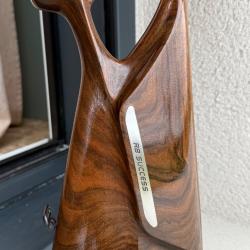 Carcasse blaser r8 success