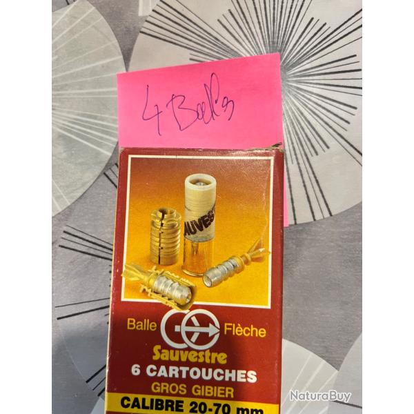 Lot de munitions calibre 20