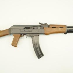 carabine ak ap80 22lr pour ench&egrave;re 1� sans prix de r&eacute;serve 32P23L6