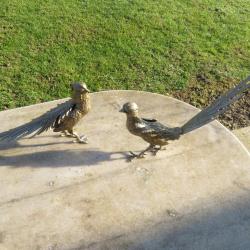 DUO de Sculpture coq faisant et poule faisane en m&eacute;tal argent&eacute;, plumage & bec au naturel (Vers 1960)