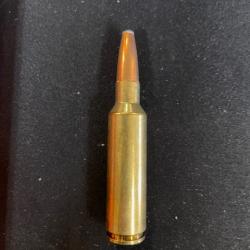 lot de 2 boites de Norma 300WSM soft point