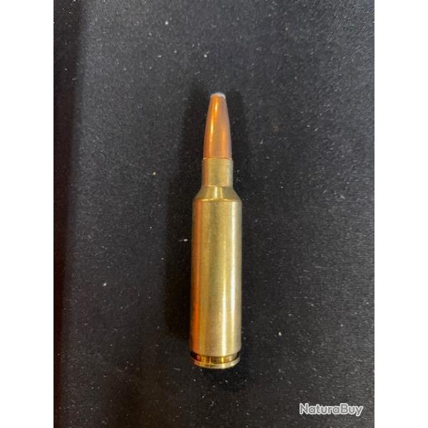 lot de 2 boites de Norma 300WSM soft point